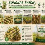 Program Bongkar Ratoon Tebu 2026 di Malang Diperketat, Validasi Lahan hingga Pengawasan Dana Jadi Sorotan